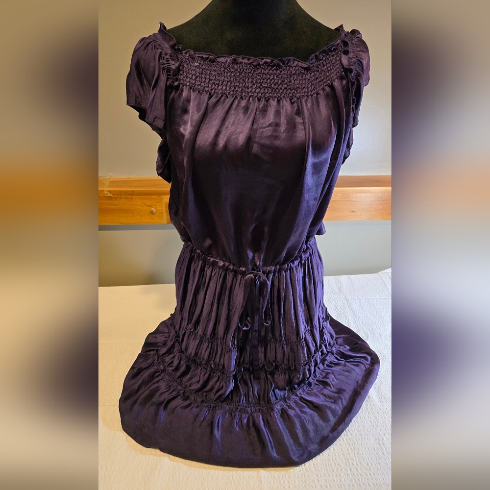 Theory Small Royal Purple Dress With Smocking
